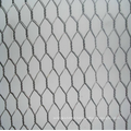 Hexagonal wire netting Protection Mesh